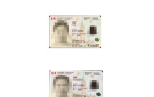 恭喜W女士全家收到加拿大枫叶卡